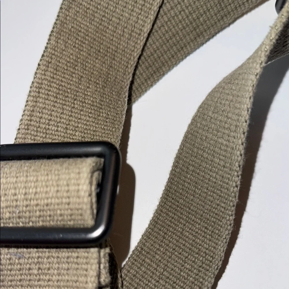 Fossil elegant messenger